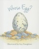 Whose Egg? (Hardcover) - Lynette Evans Photo