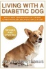 Living with a Diabetic Dog - How to Keep Your Dog Healthy, Prevent Common Problems and Avoid Complications (Paperback) - Amy Newton Thomas Photo