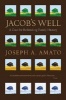 Jacob's Well - A Case for Rethinking Family History (Hardcover, First) - Joseph Anthony Amato Photo