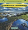 Examining Tide Pool Habitats (Paperback) - Zelda King Photo