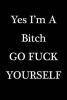 Yes I'm a Bitch Go Fuck Yourself - Blank Lined Notebook - 6 X 9 - 108 Pages - Gag Gift (Paperback) - Active Creative Journals Photo