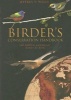 Birder's Conservation Handbook - 100 North American Birds at Risk (Paperback) - Jeffrey V Wells Photo