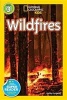 Wildfires (Paperback) - Kathy Furgang Photo