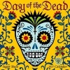 Day of the Dead 2017 Wall Calendar - Sugar Skulls (Calendar) -  Photo