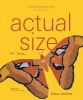 Actual Size (Paperback) - Steve Jenkins Photo