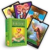 The Psychic Tarot for the Heart Oracle Deck (Cards) - John Holland Photo