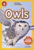 Owls (Paperback) - Laura F Marsh Photo