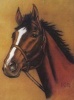 Horse Notebook (Paperback, Green) - Dover Photo