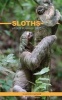 Sloths Weekly Planner 2017 - 16 Month Calendar (Paperback) - David Mann Photo