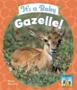 It's a Baby Gazelle! (Hardcover) - Kelly Doudna Photo