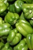 The Green Bell Peppers Journal - 150 Page Lined Notebook/Diary (Paperback) - Cool Image Photo