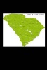 Map of South Carolina Journal (with Counties) - 150 Page Lined Notebook/Diary (Paperback) - Cool Image Photo