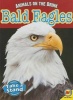 Bald Eagles (Paperback) - Karen Dudley Photo