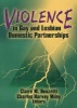 Violence in Gay and Lesbian Domestic Partnerships (Hardcover) - Claire M Renzetti Photo