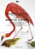 Audubon's Birds of America - Giant Artists' Colouring Book (Paperback) - Pepin Van Roojen Photo