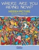 Where Are You Hiding Now? a Puzzling Hidden Objects Activity Book (Paperback) - Bobos Adult Activity Books Photo