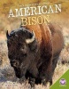 American Bison (Hardcover) - Anita Yasuda Photo