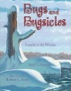 Bugs and Bugsicles (Paperback) - Amy S Hansen Photo