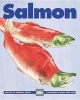 Salmon (Paperback) - Deborah Hodge Photo