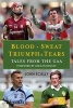 The Blood, Sweat, Triumph and Tears - Tales from the Gaa (Paperback) - John Scally Photo