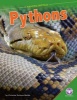 Pythons (Hardcover) - Christine Zuchora Walske Photo