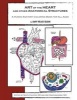 Art of the Heart and Other Anatomical Structures - A Human Anatomy Coloring Book (Paperback) - Amy G Sloan Photo