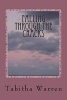 Falling Through the Cracks - (Life in Foster Care) (Paperback) - Tabitha Warren Photo