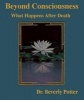 Beyond Consciousness: What Happens After Death (Paperback) - Beverly A Potter Photo