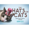 Tiny Hats on Cats (Hardcover) - Adam Ellis Photo