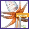 Squids (Hardcover) - Mari C Schuh Photo