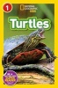 Turtles (Paperback) - Laura Marsh Photo