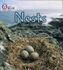 Nests - Band 02A/Red A (Paperback) - Elspeth Graham Photo