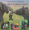 Sociobiology - The New Synthesis (Paperback, 25th Anniversary edition) - Edward O Wilson Photo