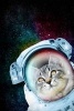 Cool Cosmic Astronaut Cat in a Spacesuit Exploring the Universe Fantasy Collage Journal - 150 Page Lined Notebook/Diary (Paperback) - Cs Creations Photo