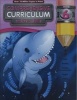 Comprehensive Curriculum of Basic Skills, Grade 6 (Paperback) - American Education Publishing Photo