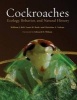 Cockroaches - Ecology, Behavior, and Natural History (Paperback) - William J Bell Photo