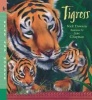 Tigress (Paperback) - Nick Dowson Photo