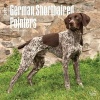 German Shorthaired Pointers 2017 Square (Calendar) - Inc Browntrout Publishers Photo