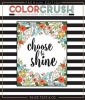 Color Crush - An Adult Coloring Book (Paperback) - Paige Tate Select Photo