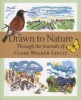 Drawn to Nature Through the Journals of  (Paperback) - Clare Walker Leslie Photo