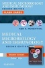 Medical Microbiology and Immunology Flash Cards (Cards, 2nd Revised edition) - Ken S Rosenthal Photo