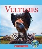 Vultures (Hardcover) - Josh Gregory Photo