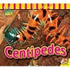 Centipedes (Paperback) - John Willis Photo