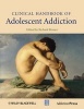 Clinical Handbook of Adolescent Addiction (Hardcover, New) - Richard Rosner Photo