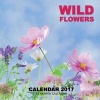 Wild Flowers Calendar 2017 - 16 Month Calendar (Paperback) - David Mann Photo