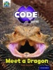 Project X Code Extra: Light Blue Book Band, Oxford, Level 4 - Dragon Quest: Meet a Dragon (Paperback) - Claire Llewellyn Photo