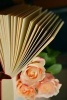 Pink Roses and an Open Book - Blank 150 Page Lined Journal for Your Thoughts, Ideas, and Inspiration (Paperback) - Unique Journal Photo