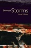 Between Storms (Paperback) - Carol V Davis Photo