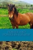 Horses and Ponies in Colour - Full Colour Photographs of Various Breeds of Horse and Pony (Paperback) - C Cartmell Photo