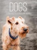 Dogs - A Portrait in Pictures and Words (Hardcover) - Charlotte Fraser Photo